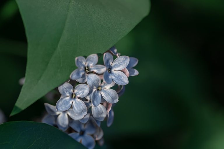 Accessorizing with Confidence: Elevate Your Look with Jewelry